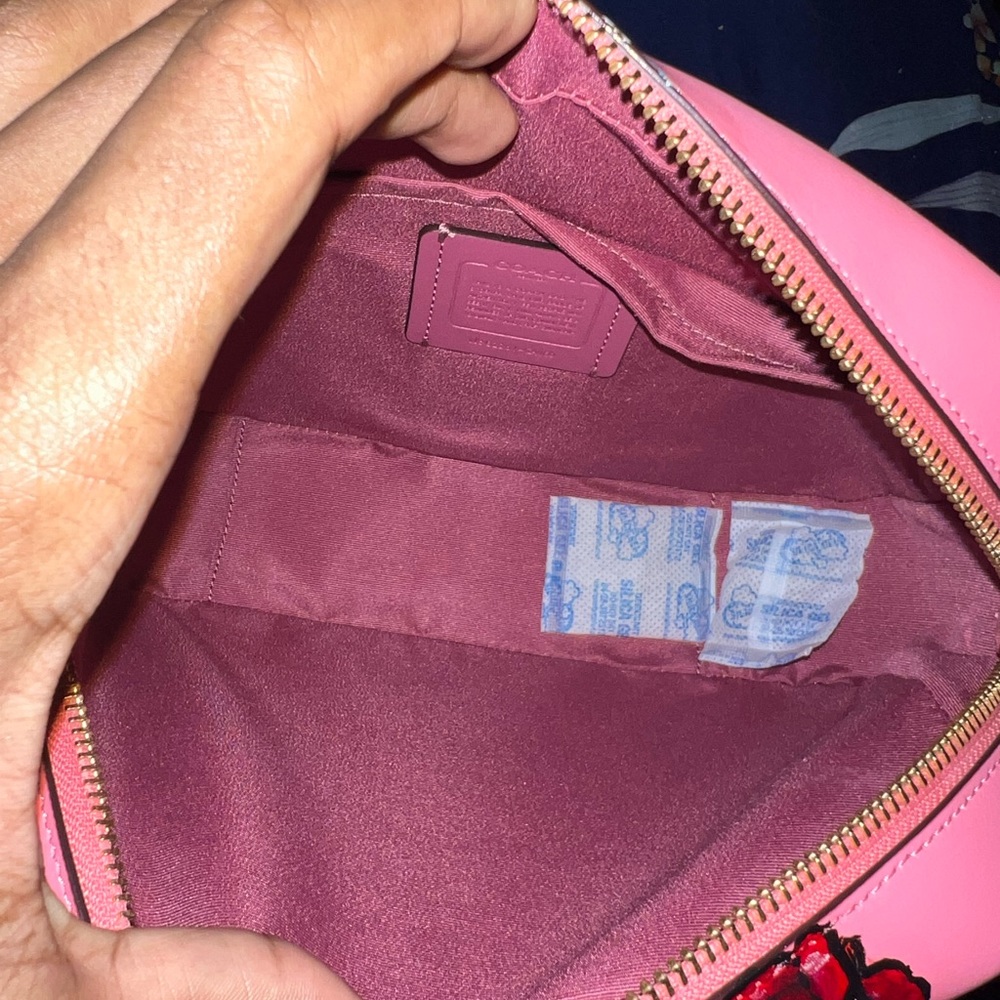 Custom pink red ruby da sleeze nicki Minaj coach bag💖❤️🔥 - Picture 10 of 13